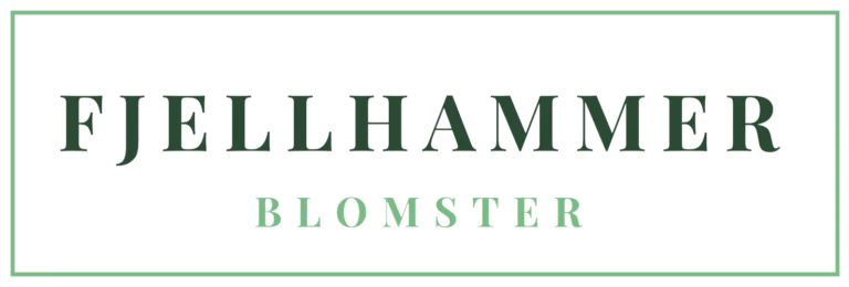 Logo fjellhammer - til forsiden